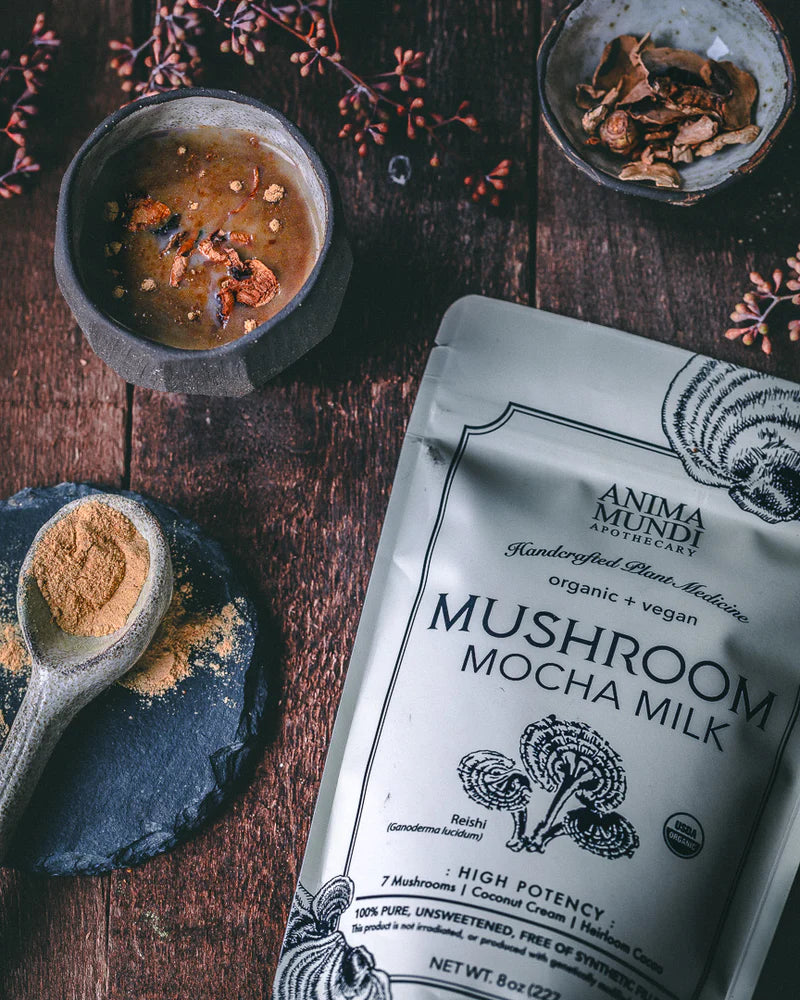 MUSHROOM MOCHA MILK : Adaptogenic Creamer