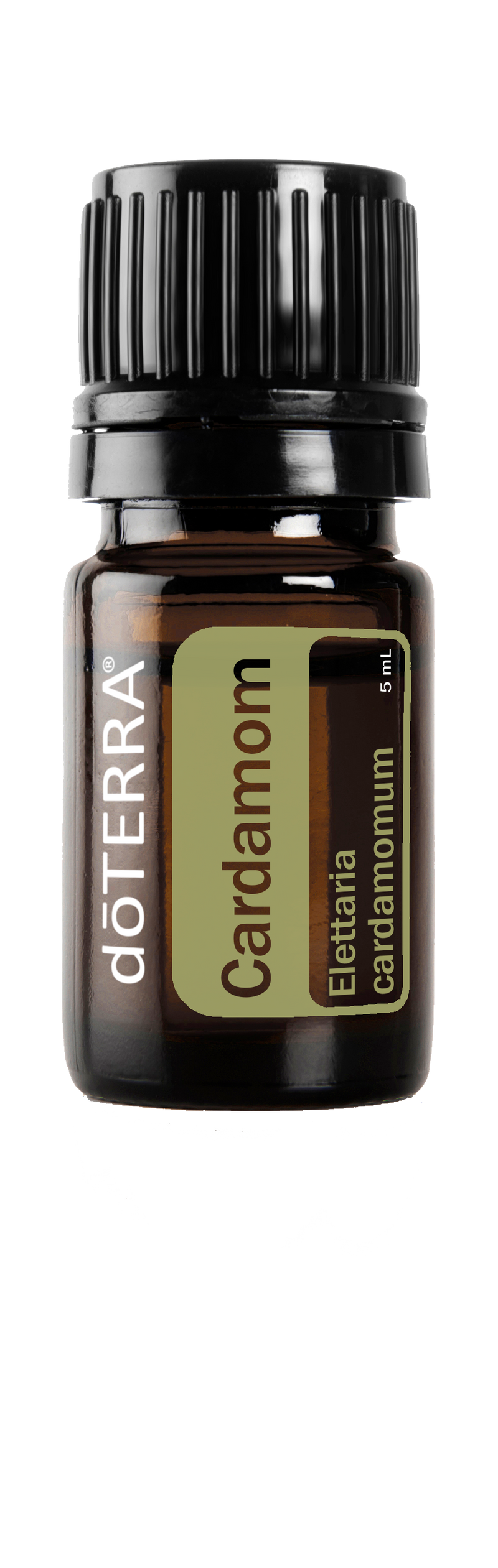 CARDAMOM - dōTERRA Essential Oils 5 ml