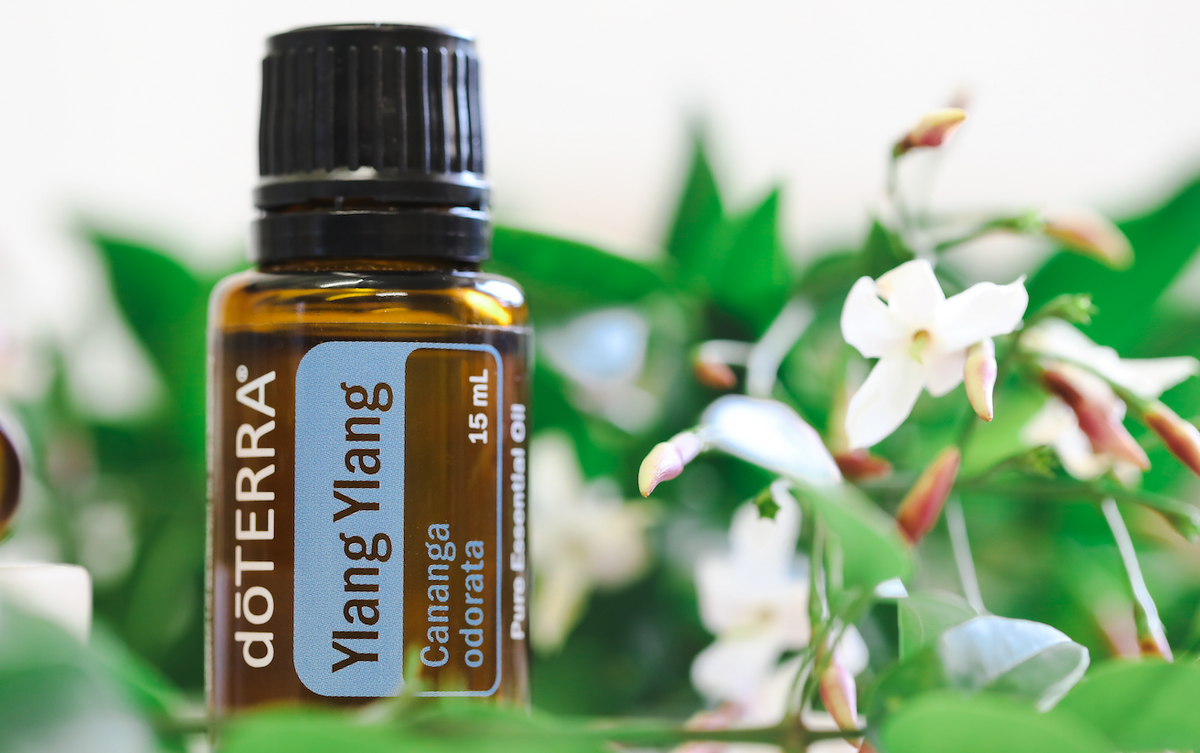 YLANG YLANG OIL - dōTERRA ESSENTIAL OILS – Metatron Space